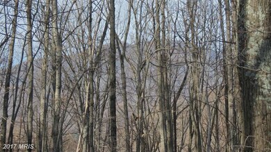 0 Piedmont unit 1002535310, Washington, VA 22747 - photo 2