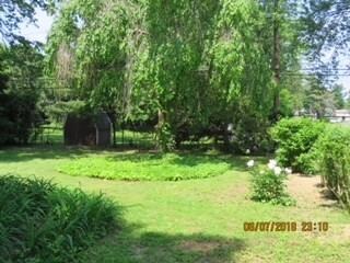 Well maintained yard