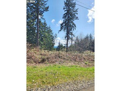 0 Bolton Hill Rd unit S 24559081, Veneta, Or, OR 97487 - photo 7