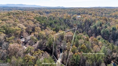 aerial view, approximate lot line