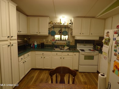 1055 Summer Oak Ln, Summit, MS 39666 - photo 6