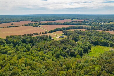 290 Leeford Ln, Cedar Grove, TN 38321 - photo 7