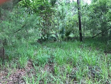 Woods