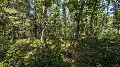 V/L E Stark Rd, Free Soil, MI 49411 - photo 6