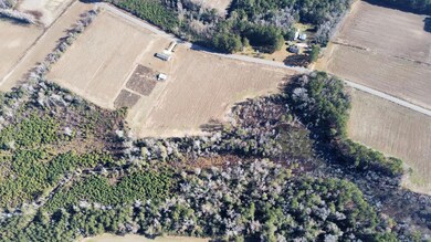 20.85 Acres Highway 917, Nichols, SC 29581 - photo 7