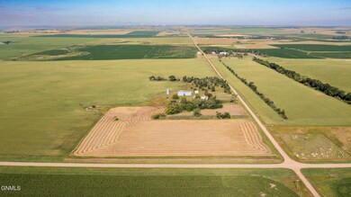 DJI_0555