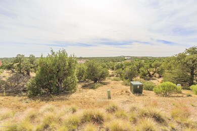 7501 Las Brisas Trail, Farmington, NM 87402 - photo 2