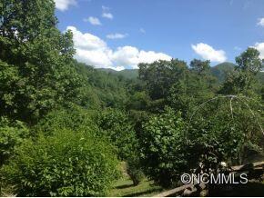Berry Tree and View