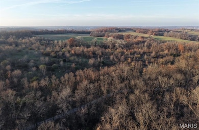 58079 Dow Trail Tract 1, Hannibal, MO 63401 - photo 5