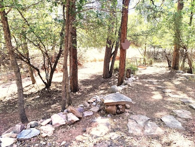 6413 W Barton Dr, Pine, AZ 85544 - photo 3