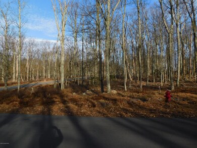 Hf-341 Hidden Forest, Hazleton, PA 18202 - photo 3