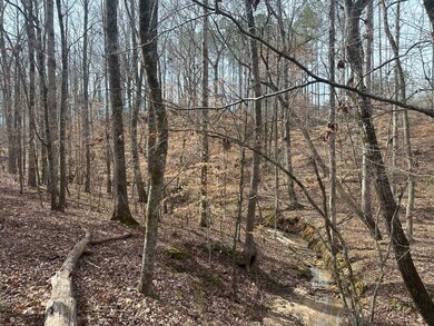 0 Old Middleton Rd unit 22775401, Elberton, GA 30635 - photo 6