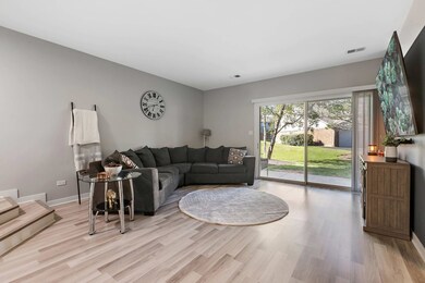 1662 Commodore Ct unit 3, Schaumburg, IL 60193 - photo 4