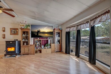 8738 W Antelope Dr, Strawberry, AZ 85544 - photo 5