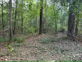 111 N Hunter Ln, Troy, AL 36079 - photo 2