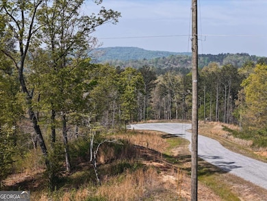 LT 20 Blalock Mountain Rd, Ellijay, GA 30175 - photo 2