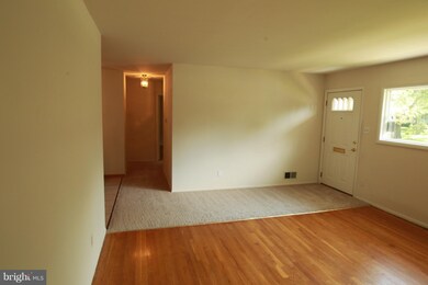 14005 Bauer Dr, Rockville, MD 20853 - photo 4