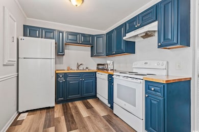 Kitchen with butcher block countertops, blue cabinetry, white appliances, dark wood-style floors, and under cabinet range hood