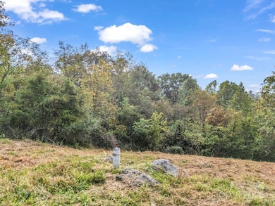 19 Woodchuck Cove Way, Alexander, NC 28701 - photo 5