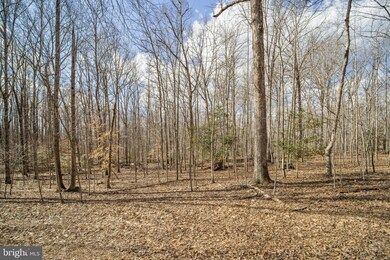 0 Dreamland Rd unit A VACU2002358, Jeffersonton, VA 22724 - photo 5