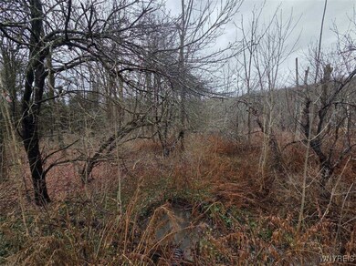 0 Beech Tree Rd unit B1653186, Ashford, NY 14141 - photo 4