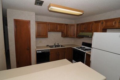 123 Ledbetter Dr, Saint Simons Island, GA 31522 - photo 2