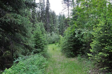 Old Trail