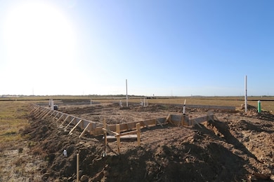 7133 Salt Dome Dr, Friendswood, TX 77546 - photo 7