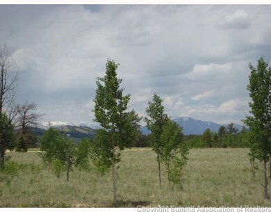 364 Yellowstone Rd, Hartsel, CO 80449 - photo 2