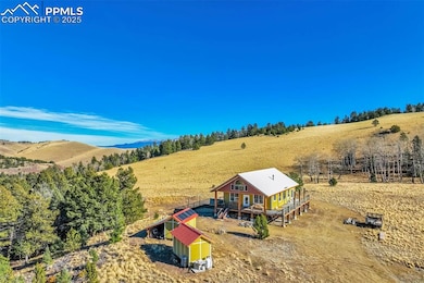 1440 N Range Rd, Guffey, CO 80820 - photo 3