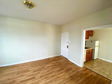 839 W Sheridan Rd unit 215, Chicago, IL 60613 - photo 4