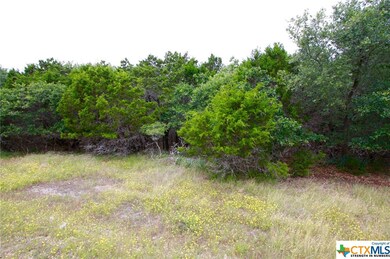 15746 Salado Dr, Temple, TX 76502 - photo 3