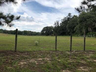 21630 Belgian Ct, Mount Dora, FL 32757 - photo 5