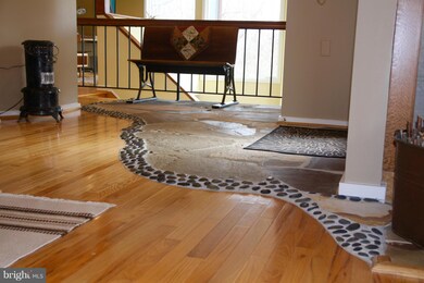 610 Steamboat Run Rd, Shepherdstown, WV 25443 - photo 6