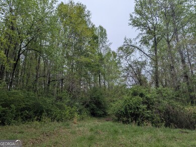 0 Fischer Spur Rd unit 10495301, Newnan, GA 30265 - photo 4