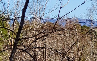 Additional View
