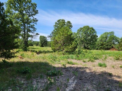 image000003 (30)
