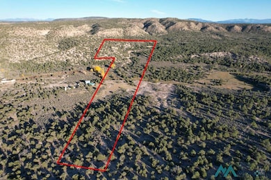 0 State Road 341 unit 20256526, Petaca, NM 87554 - photo 7