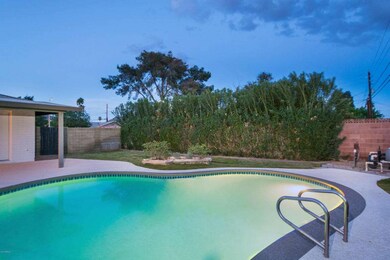 031_Backyard Pool
