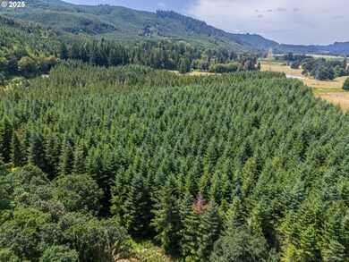 0 S Cedar Mill Rd, Lyons, OR 97358 - photo 7