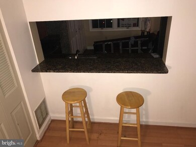 1207 Elm Grove Cir, Silver Spring, MD 20905 - photo 2