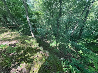 0 Hwy 1050 unit 25016644, Jeffersonville, KY 40337 - photo 3