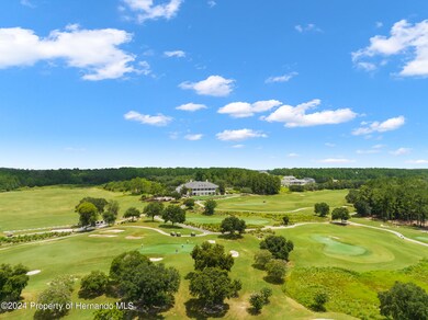 5995 Creek Ridge Rd, Brooksville, FL 34601 - photo 4