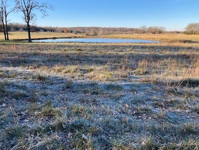 2363 State Highway Oo, Marshfield, MO 65706 - photo 4