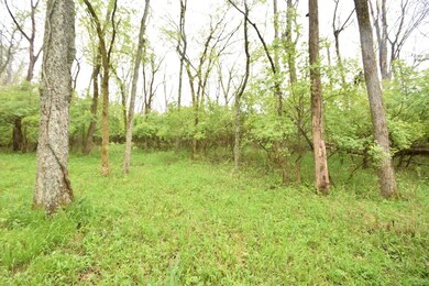 Tract 3 at Dean Rd, Harrodsburg, KY 40330 - photo 7