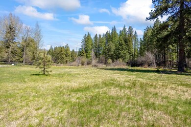 Open Meadow