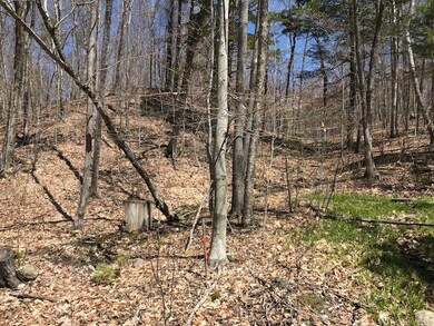 Looking up hill2