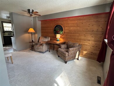 95 Empire West Rd unit 95, Empire, CO 80438 - photo 6