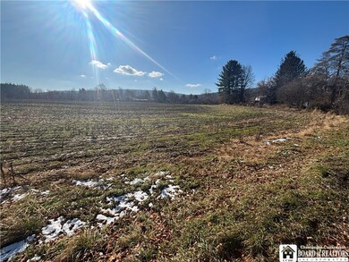 0 Scio Rd unit R1651879, Amity, NY 14813 - photo 6