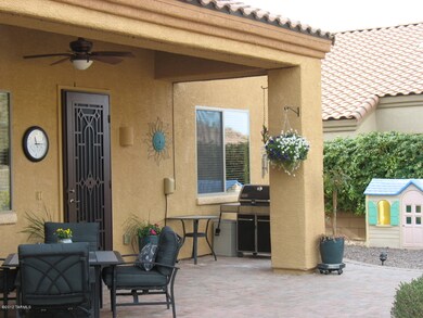 Back Yard area